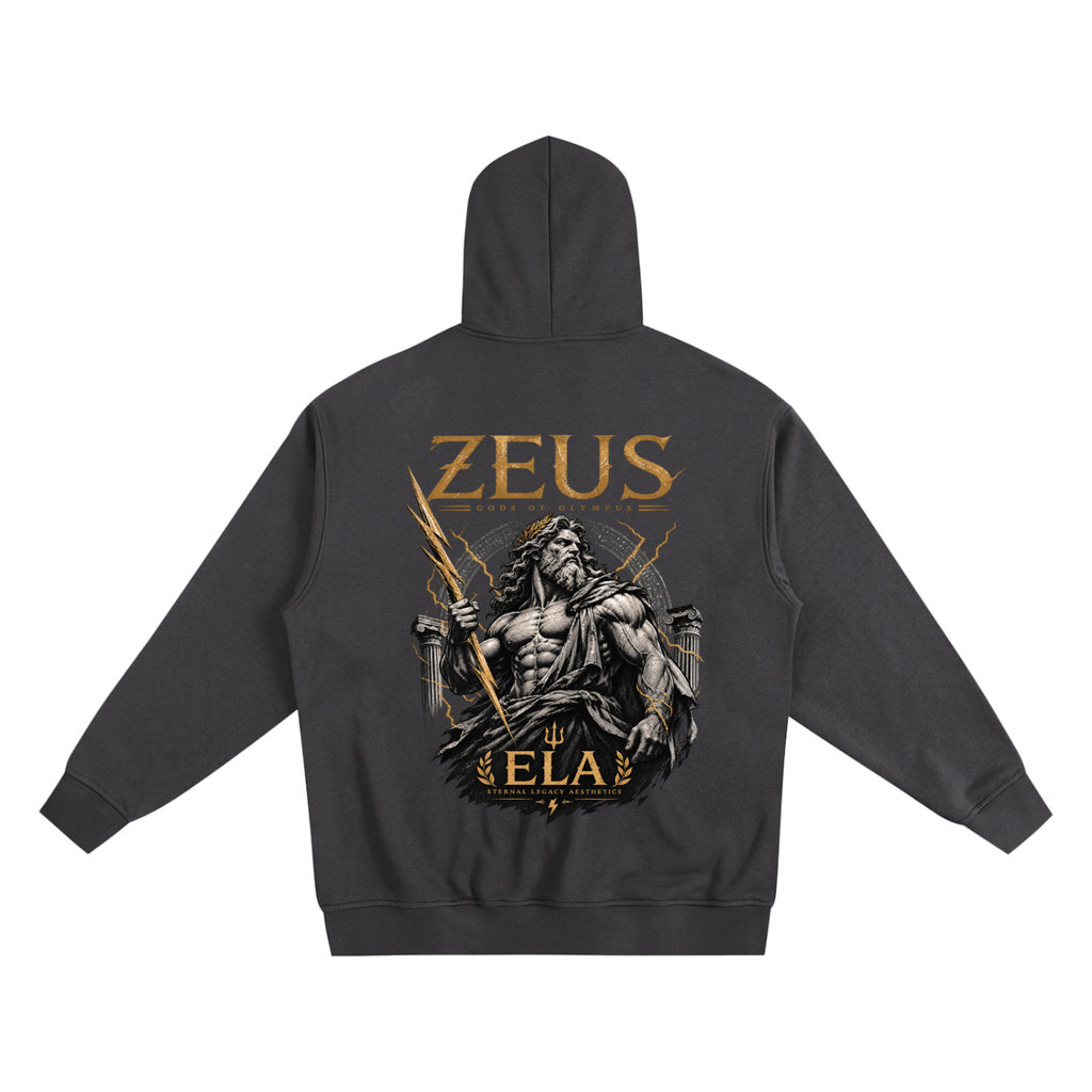 ELA GODS OF OLYMPUS ZEUS Vol. 01 HEAVYWEIGHT GRAPHIC ZIP-UP HOODIE