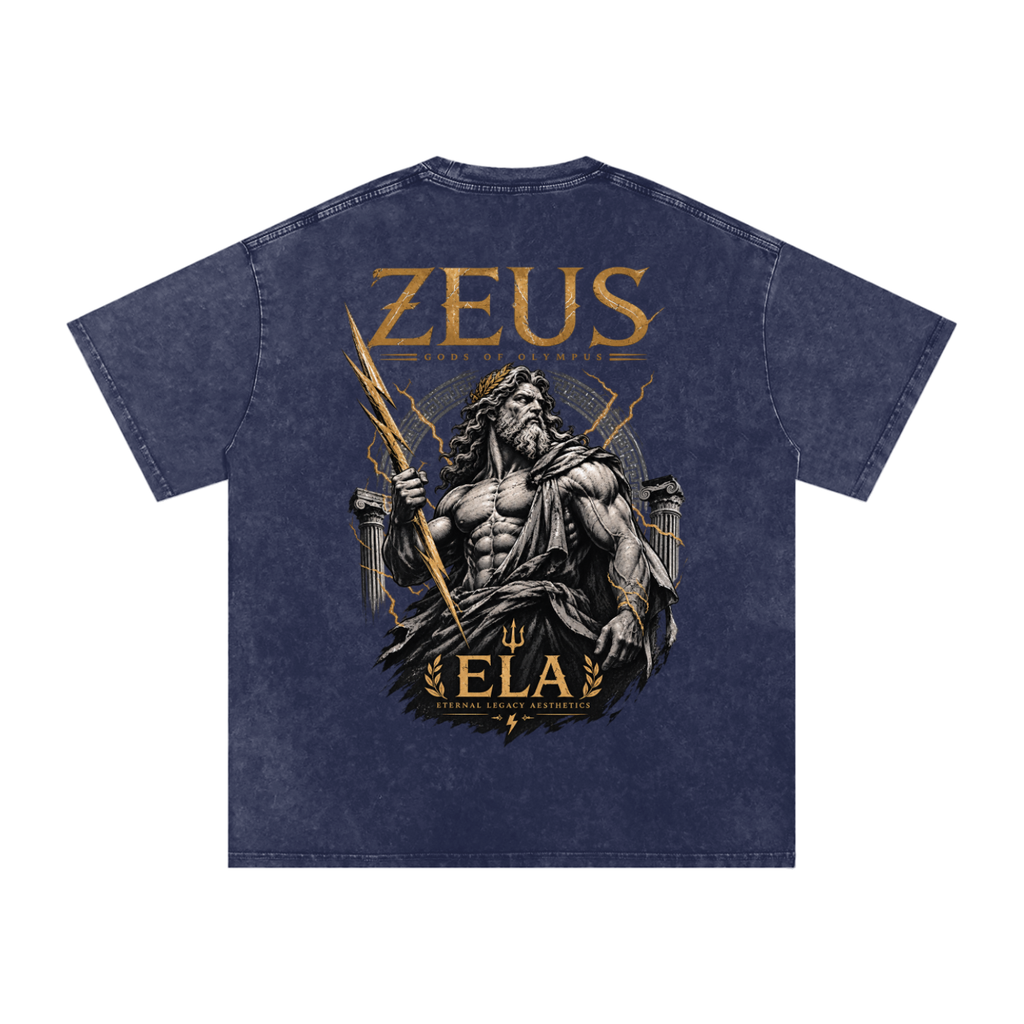 ELA GODS OF OLYMPUS: ZEUS vol. 01 OVERSIZED COTTON GRAPHIC T-SHIRT