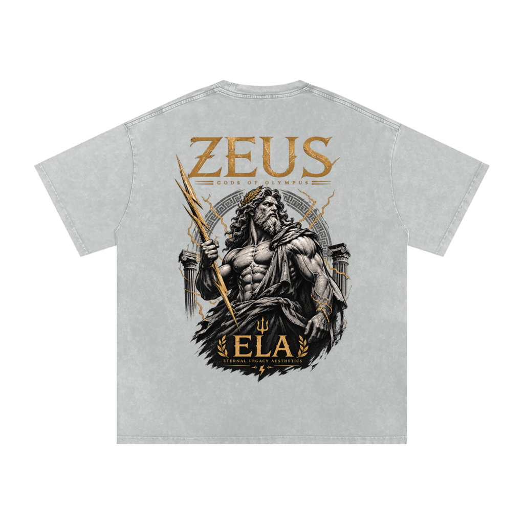 ELA GODS OF OLYMPUS: ZEUS vol. 01 OVERSIZED COTTON GRAPHIC T-SHIRT